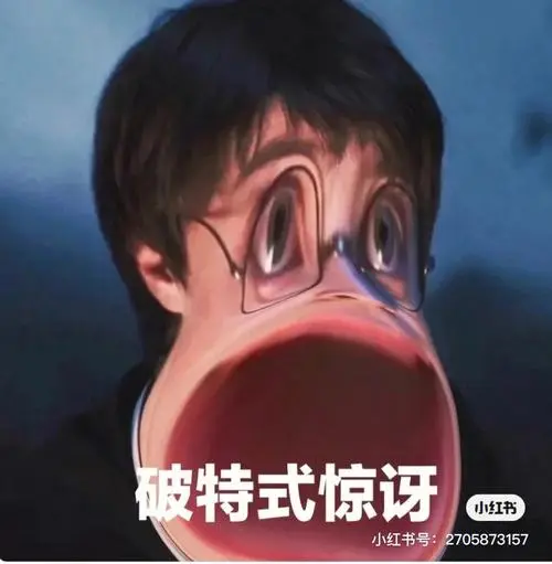 哈利波特搞笑表情包第二期
