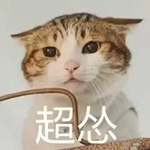 猫咪可爱恶搞呆萌斗图超怂gif动图_动态图_表情包下载_soogif