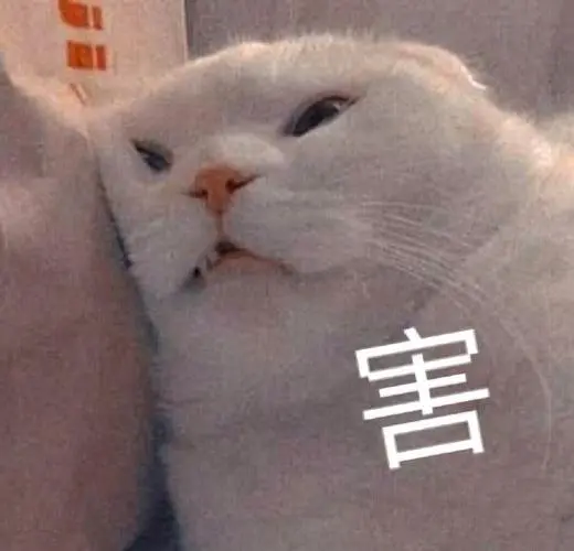 萌宠喵星人害难受呆萌搞怪gif动图_动态图_表情包下载_soogif