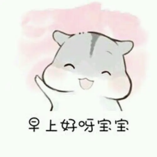 早上好呀宝宝