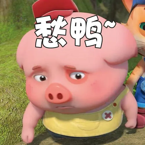 探探猫表情包:跟着豆豆猪有肉吃,快跟上!