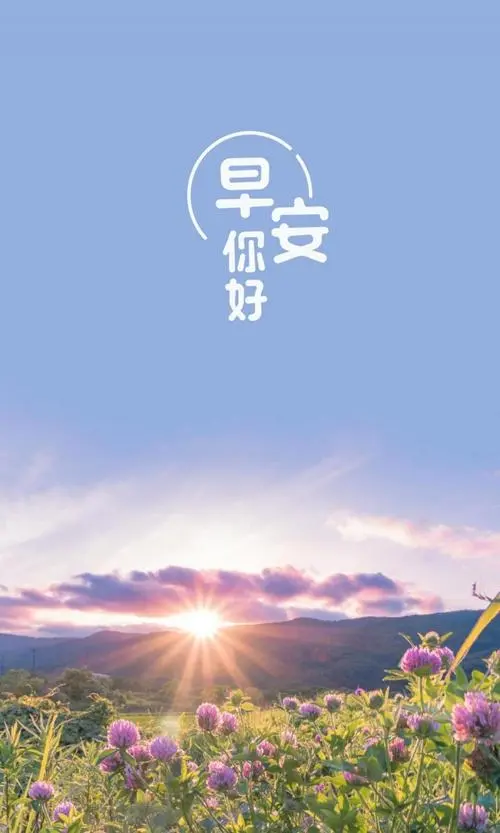 你好早安唯美图片