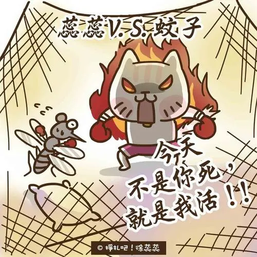 夏天,就是要和蚊子决一死战!(眼睛喷火)