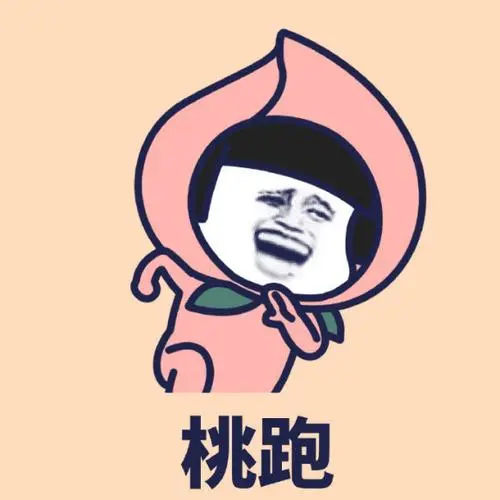 贫道已经练成御剑术了装了逼不要企图逃跑表情包素材聊天图片表情