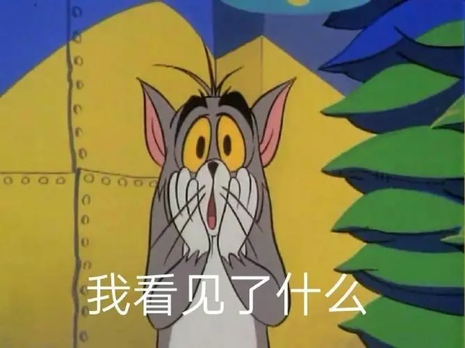 000000我看见了什么汤姆猫表情包000000汤姆看见什么表情