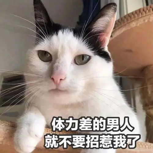 污污污污污情侣专用动态表情包拿图请顺便吱一声很难有动力发图了