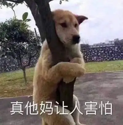 害怕抱团gif搞笑gif斗图gif可爱gif