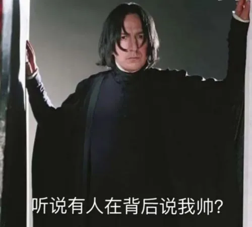 是斯内普教授的表情包,抱图留名-大东喵!