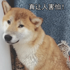 真让人害怕!害怕温馨提示:发现更多好玩有趣表情,就上斗图啦(www.