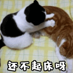 (坏坏)-斗图表情包-斗图神器-adoutu.com