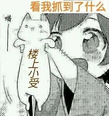 把你们这里最强的逼王找来,我想会会他表情包-日常表情包