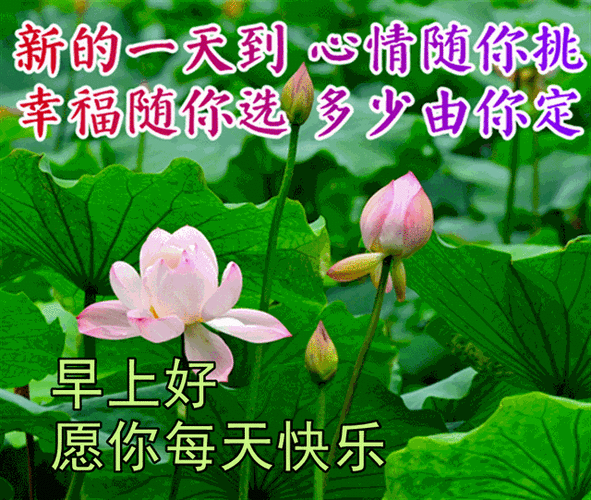 快乐祝福早安动态表情包每天早上好动态祝福片