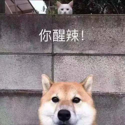 有点贱贱的表情包:你的备胎来看你了