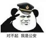 对不起,我是公安!(熊猫人教皇)