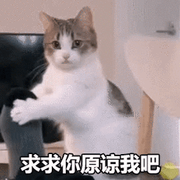 求求你原谅我吧(猫猫摇脚gif动图表情包)_gif_动图_猫猫_摇脚表情