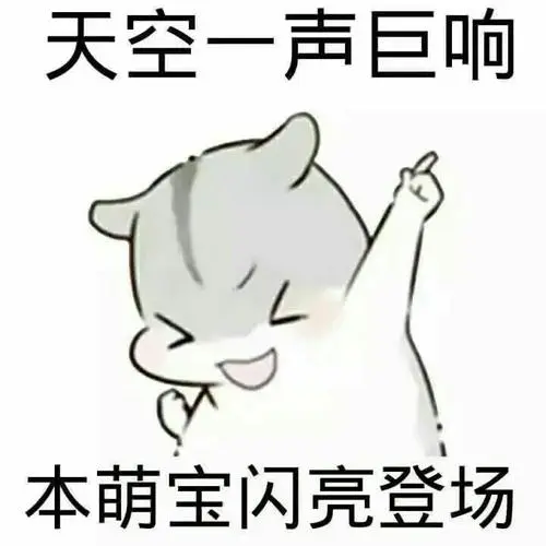 天空一声巨响,本萌宝闪亮登场-斗图表情包-金馆长表情库-真正的