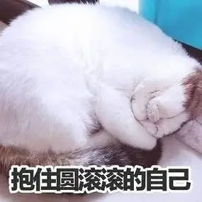 抱住圆滚滚的自己(猫咪)-斗图表情包-爱逗图