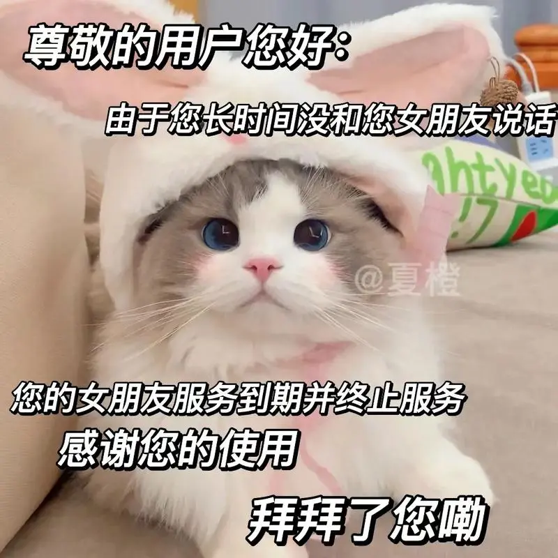 发给你的男朋友们吧.#表情包#发给对象表情包#猫咪表情包-抖音