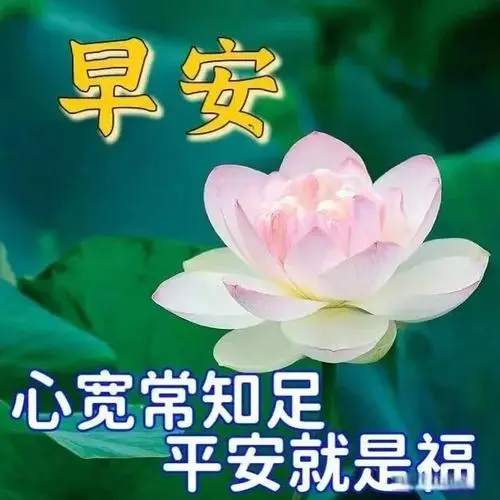 精选早上好唯美早安表情图片,愿你每天都有一个好心情