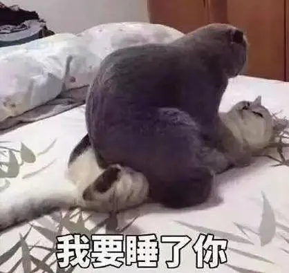 抖音可爱骚气的表情包分享_可爱骚气表情动态图片大全