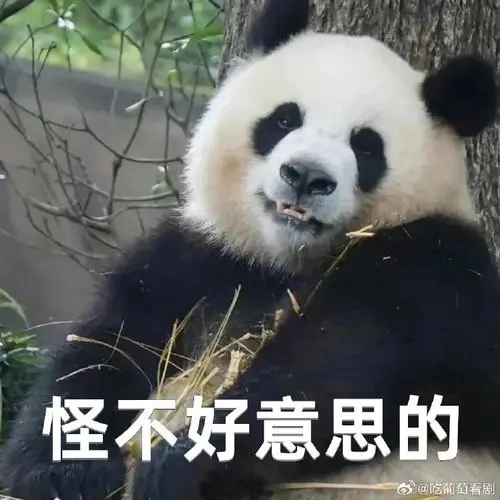 大熊猫的表情包真的太好用了,打工人的表情包里必备表情包