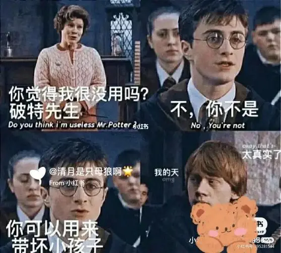 哈利波特表情包1