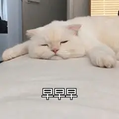 早早早早尼玛币啊-聊天表情-搞笑图片表情包-表情包网站