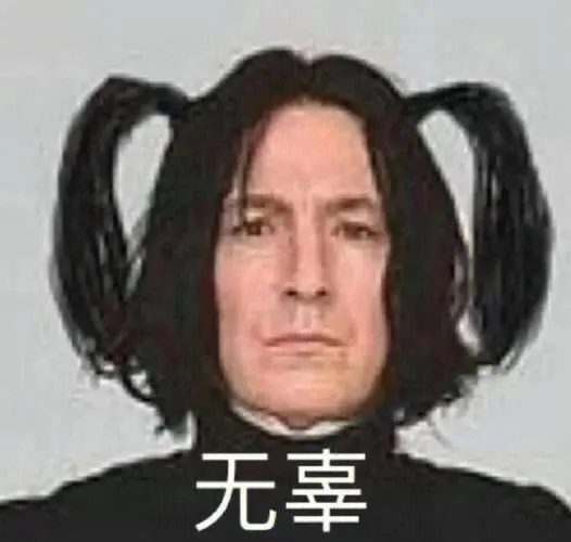 哈利波特表情包35