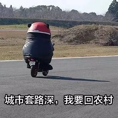 城市套路深.我要回农村_我要_套路_农村_城市表情