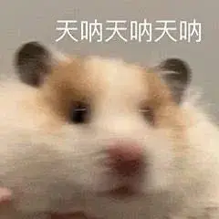 天呐天呐天呐仓鼠表情包仓鼠呐天表情