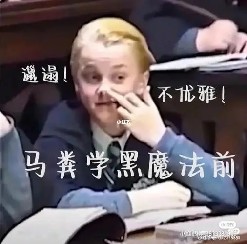 哈利波特表情包#哈利波特搞笑表情包