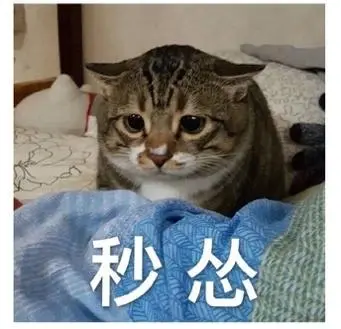 小猫害怕表情包制作聊天图片表情