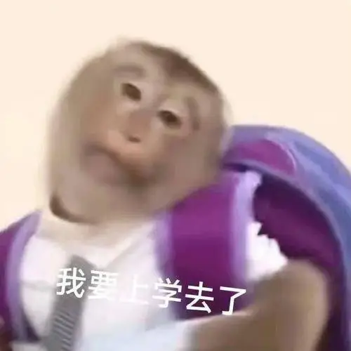 没有