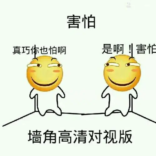 害怕墙角高清对视版
