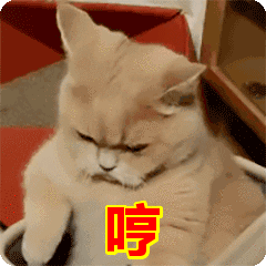 哼表情包动态gif表情图片-找表情上表情家
