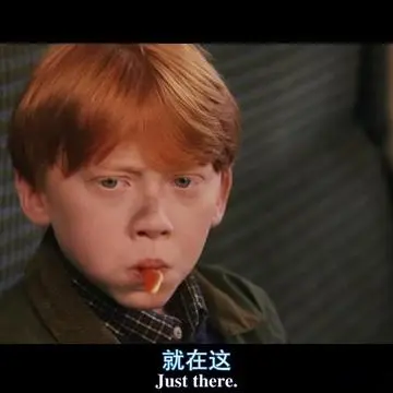 哇啦哇啦呀呀的相册-哈利波特表情包