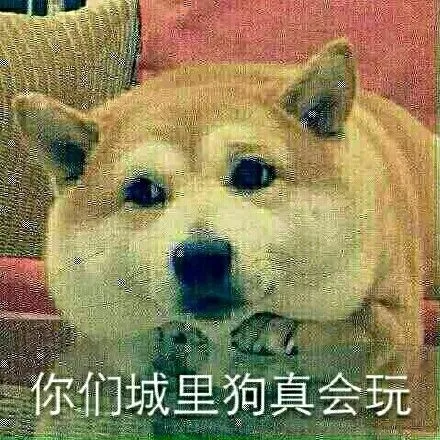 射死你射死你射死你_表情包_斗图图片