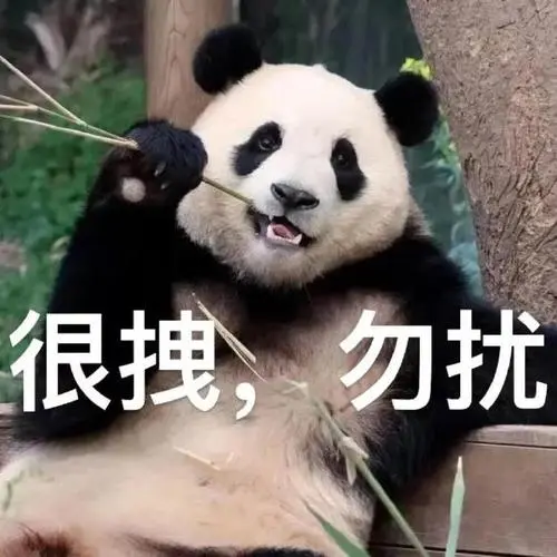 数字熊猫要不要加入表情包队伍?#住在数字森林里的大熊猫