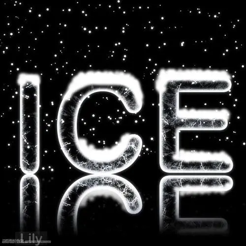 雪花字