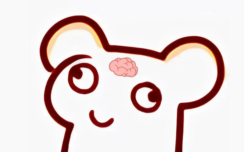 仓鼠的脑容量是有限的_哔哩哔哩_bilibili