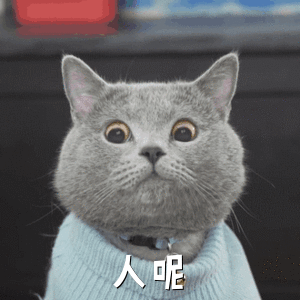 星期三的你一周的你内涵表情