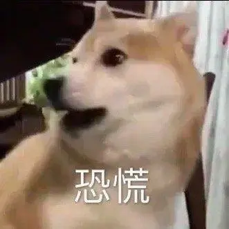萌宠汪星人恐慌害怕搞怪逗gif动图_动态图_表情包下载_soogif