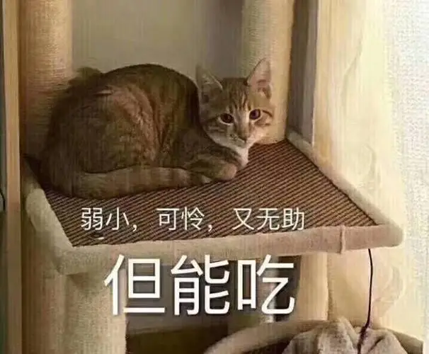 弱小可怜又无助但能吃表情包素材搞笑图片表情
