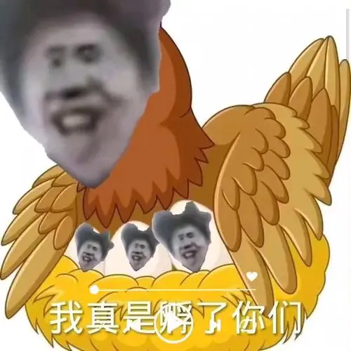 真ikun进,小黑子请往他处
