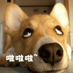 啦啦啦狗狗白眼可爱gif动图_动态图_表情包下载_soogif