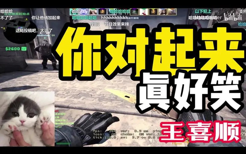 【王喜顺】你对73起来真好笑73
