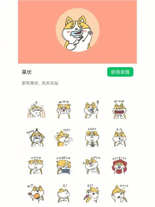 关注