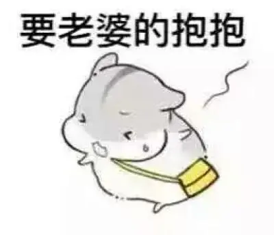 仓鼠球表情包系列老婆