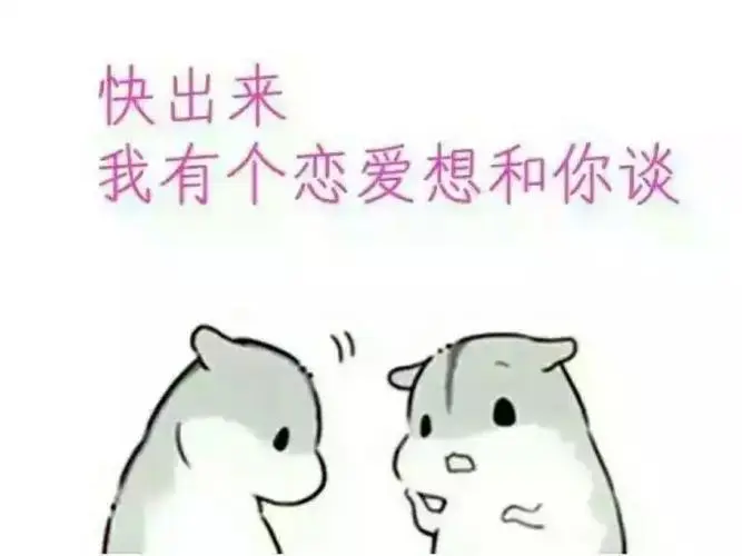 hamham小仓鼠表情包