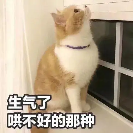 撒娇专用:哼,我生气了～_表情
